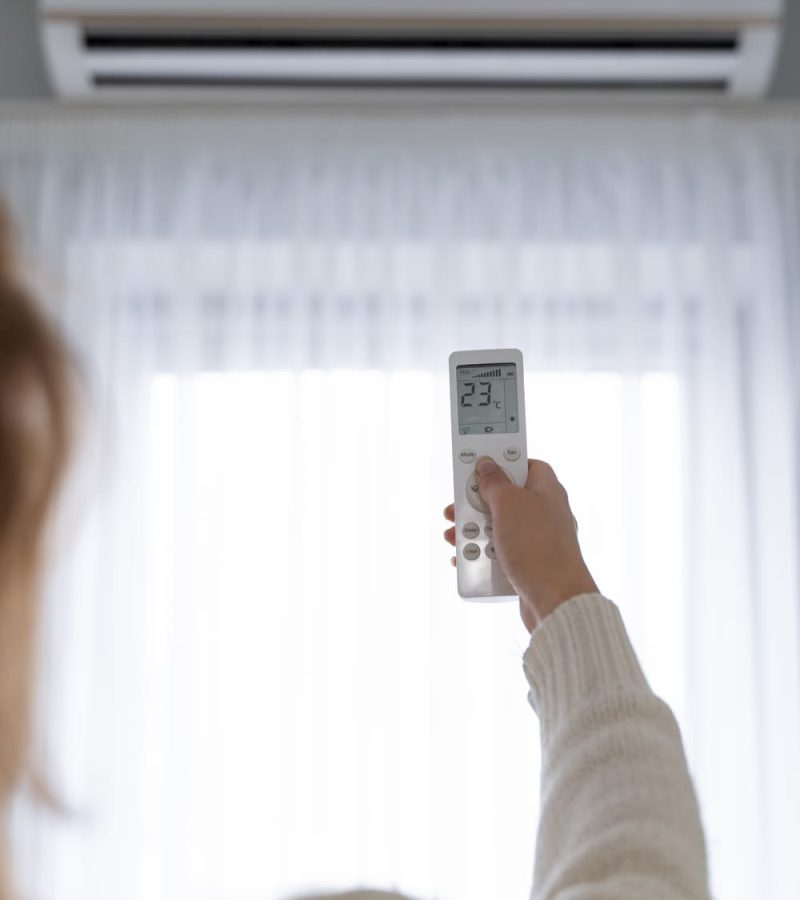 mujer-sosteniendo-control-remoto-para-encender-el-calentador (1) (1)